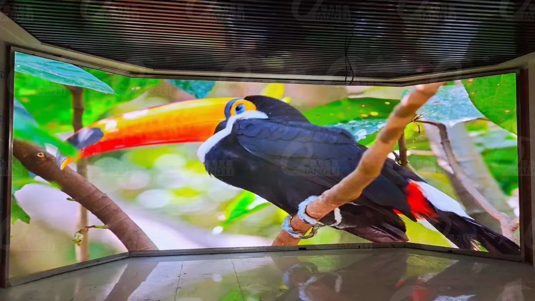 新年新气象，你的企业展厅需要一场华丽蜕变！