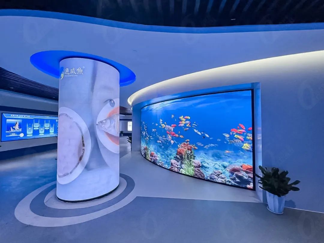 300㎡软模组打造的企业展厅