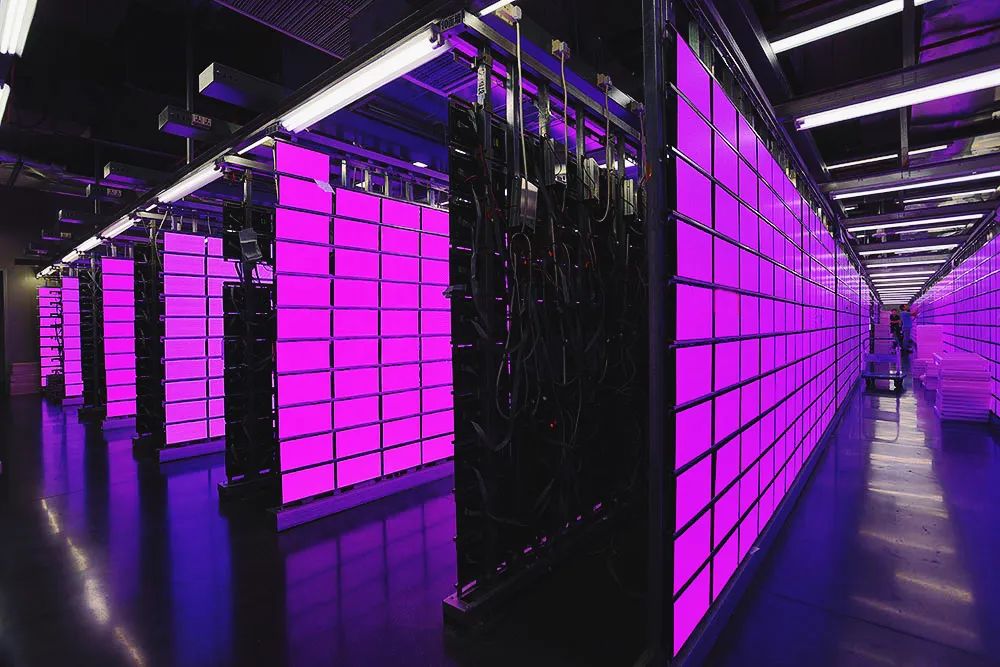 强力巨彩亮相金砖创新基地!