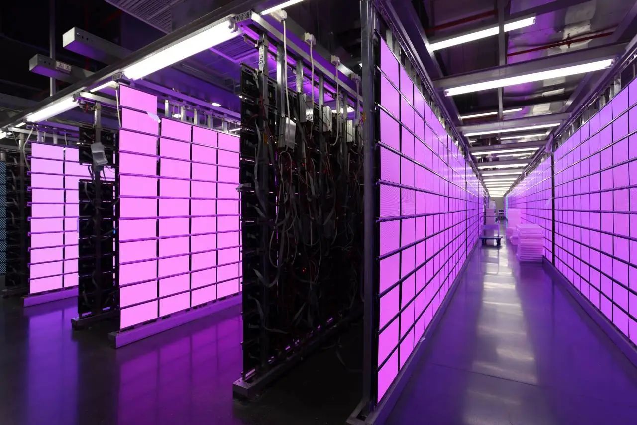 胡军代言强力巨彩，一场实力派的同频共振