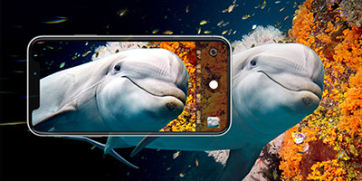 强力巨彩HY 3.9 H，室内外全彩LED屏，点亮您的每一个精彩瞬间